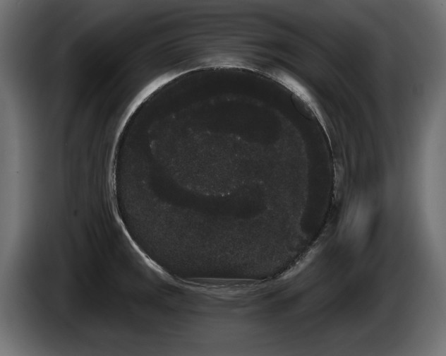 X0000085041141200703051345