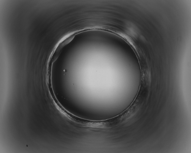 X0000085041143200703051345