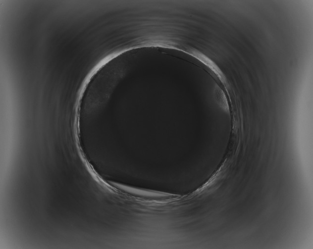 X0000085041144200703051345