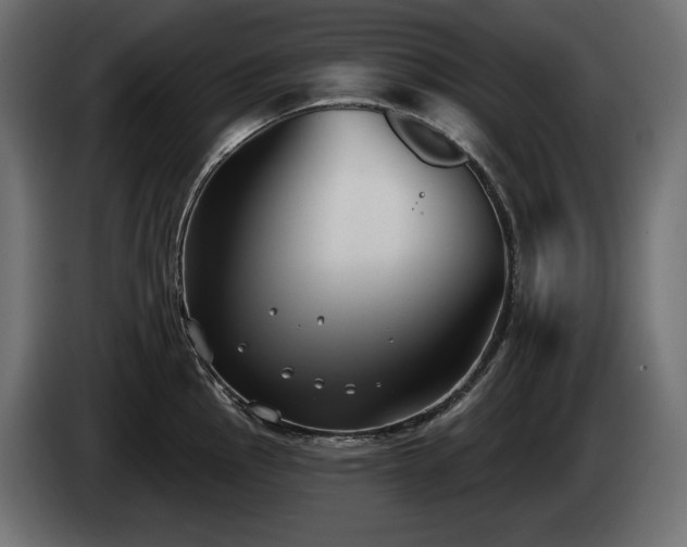X0000085041145200703051345