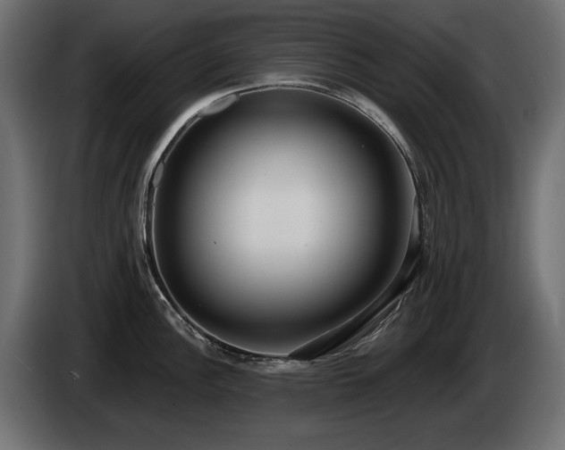 X0000085041148200703051345