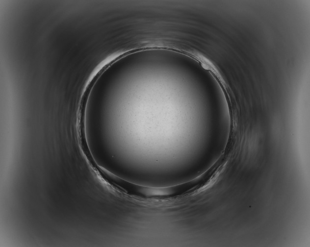 X0000085041149200703051345