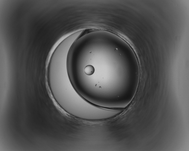 X0000085041152200703051345