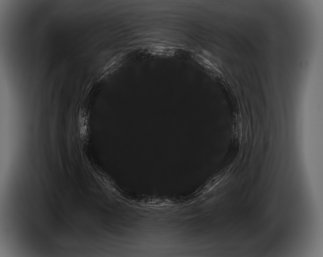 X0000085041154200703051345