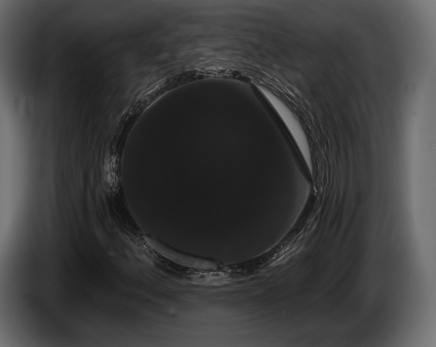 X0000085041156200703051345