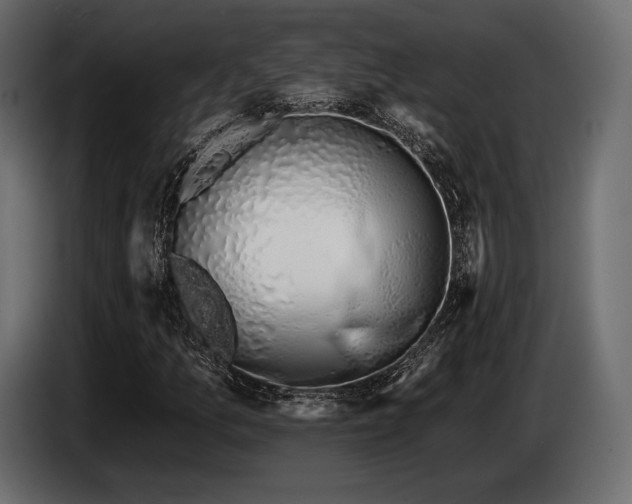 X0000085041157200703051345