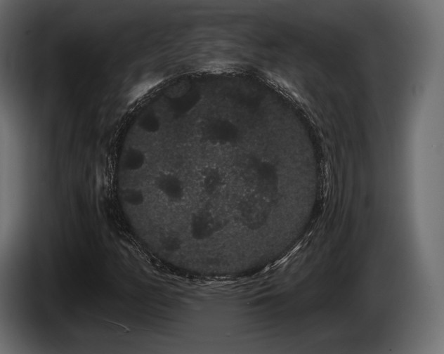 X0000085041158200703051345