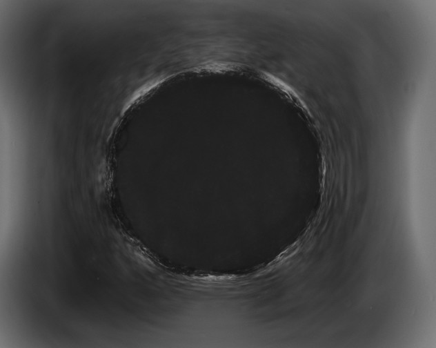 X0000085041160200703051345