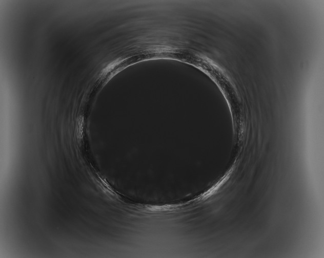 X0000085041161200703051345