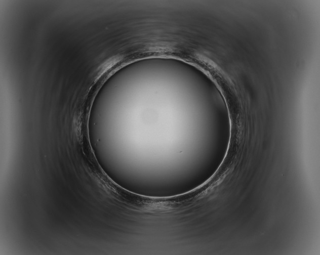 X0000085041162200703051345