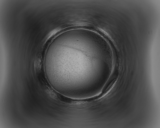 X0000085041163200703051345