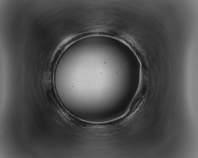 X0000085041164200703051344