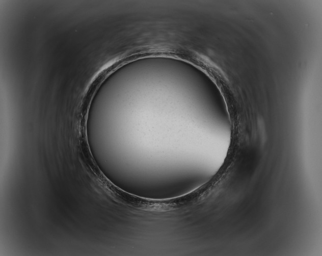 X0000085041166200703051344