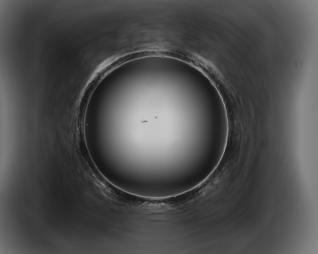 X0000085041168200703051344