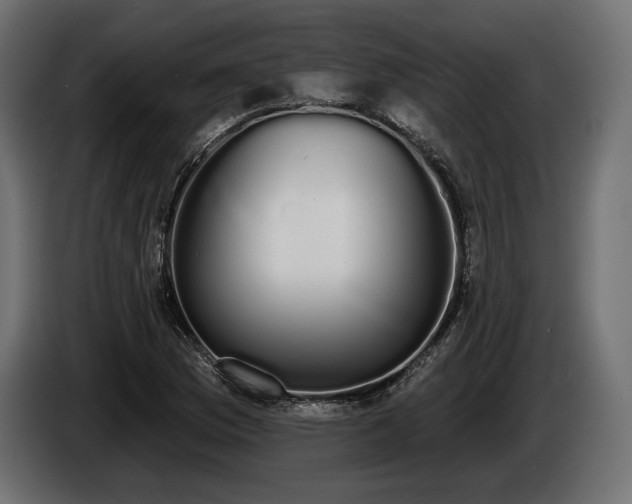 X0000085041169200703051344