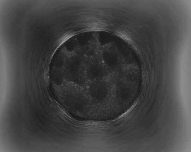 X0000085041170200703051344
