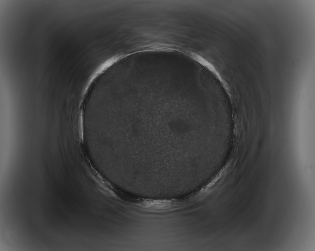 X0000085041171200703051344