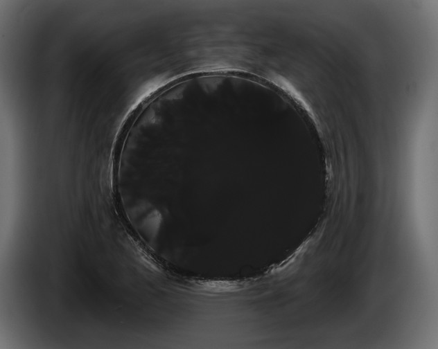X0000085041173200703051344