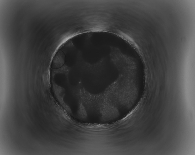 X0000085041174200703051344