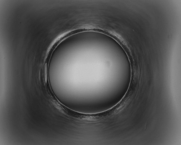 X0000085041175200703051344