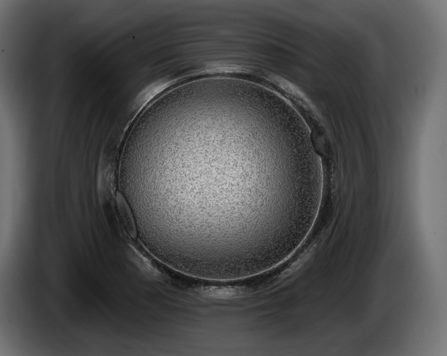 X0000085041177200703051344