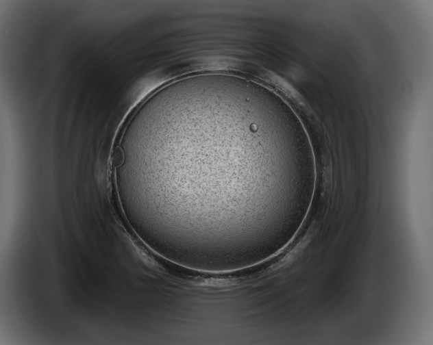 X0000085041178200703051344
