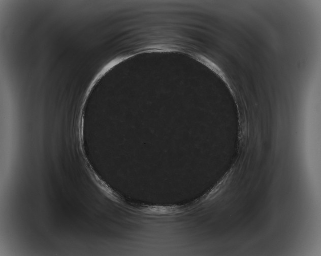 X0000085041179200703051344