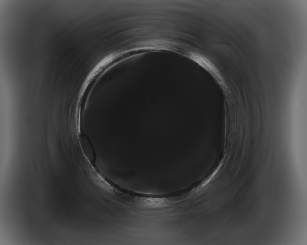 X0000085041180200703051344