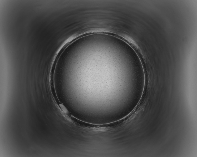 X0000085041181200703051344