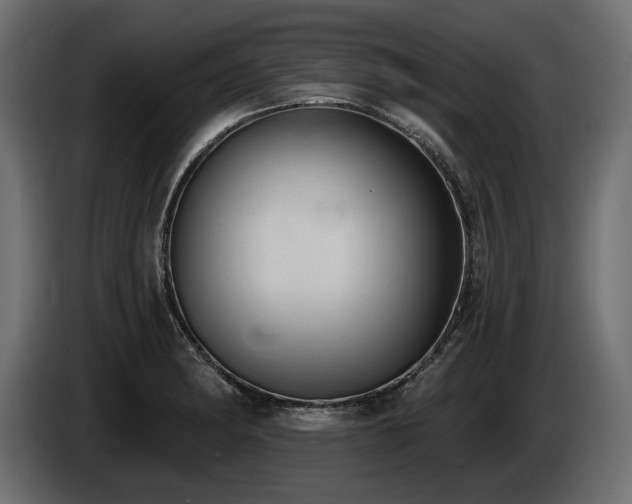 X0000085041182200703051344