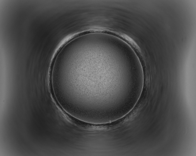 X0000085041183200703051344