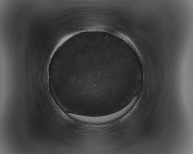 X0000085041184200703051344