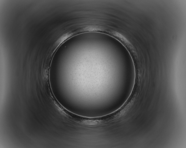 X0000085041185200703051344