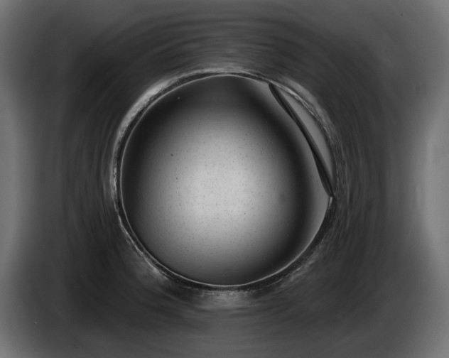 X0000085041188200703051344