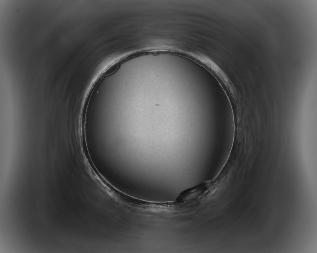 X0000085041191200703051344