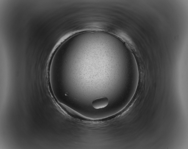 X0000085041192200703051344