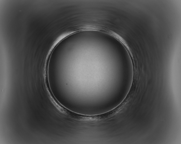 X0000085041195200703051344