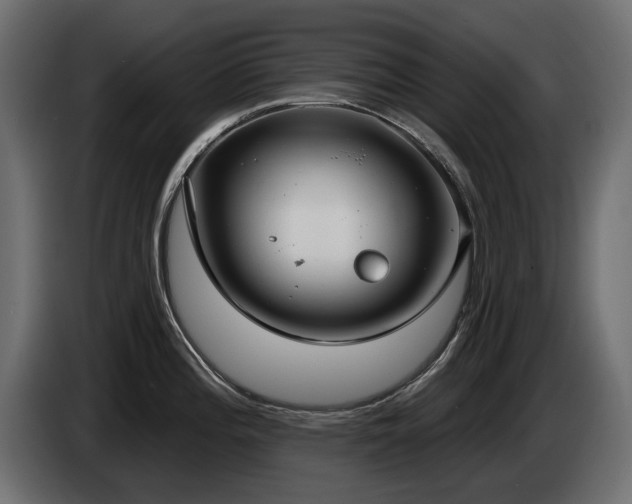 X0000085041196200703051344