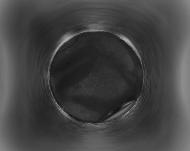 X0000085041197200703051344