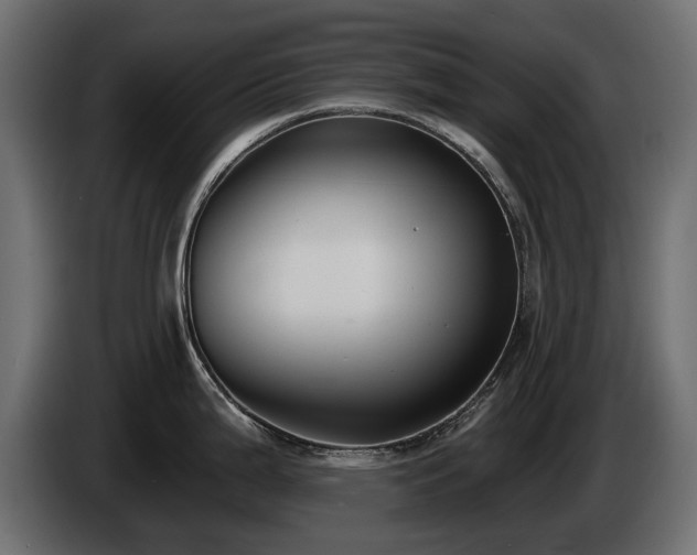 X0000085041199200703051344