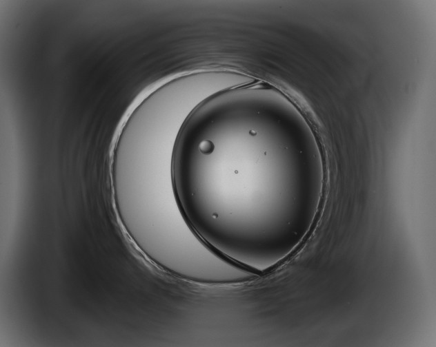 X0000085041200200703051344