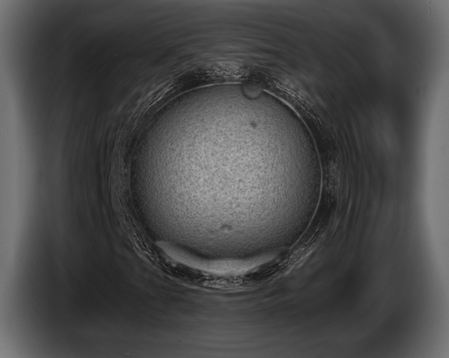 X0000085041201200703051343