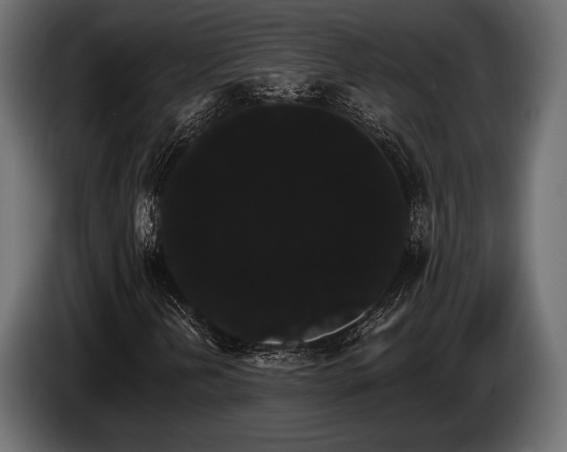 X0000085041202200703051343