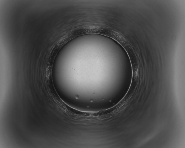 X0000085041204200703051343