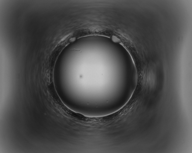 X0000085041205200703051343