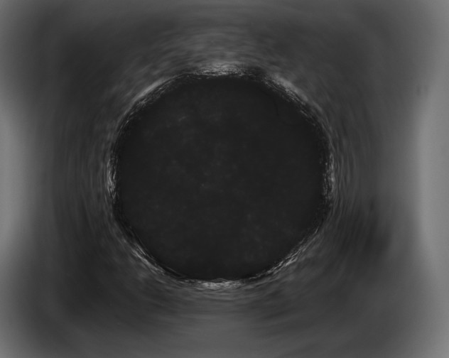 X0000085041206200703051343