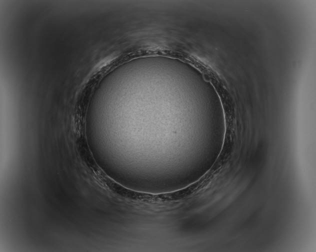 X0000085041207200703051343