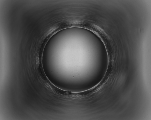 X0000085041209200703051343
