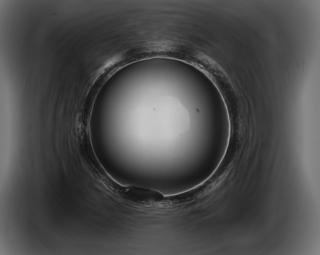 X0000085041210200703051343