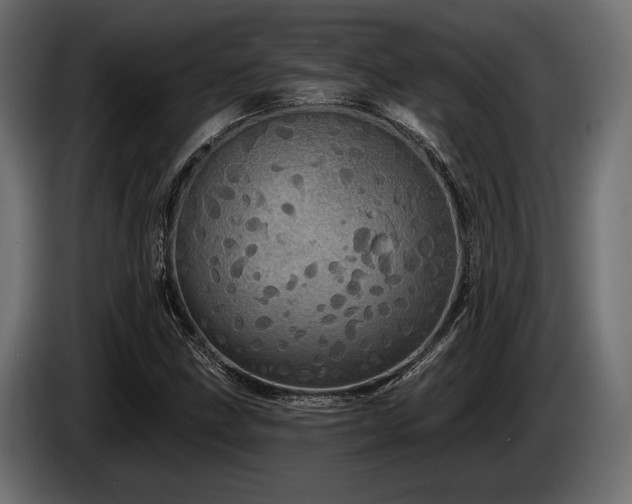 X0000085041211200703051343